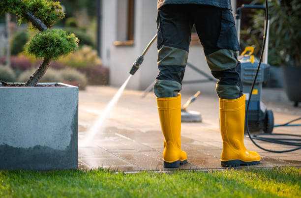 Best Roof Power Washing Services  in Alderton, WA